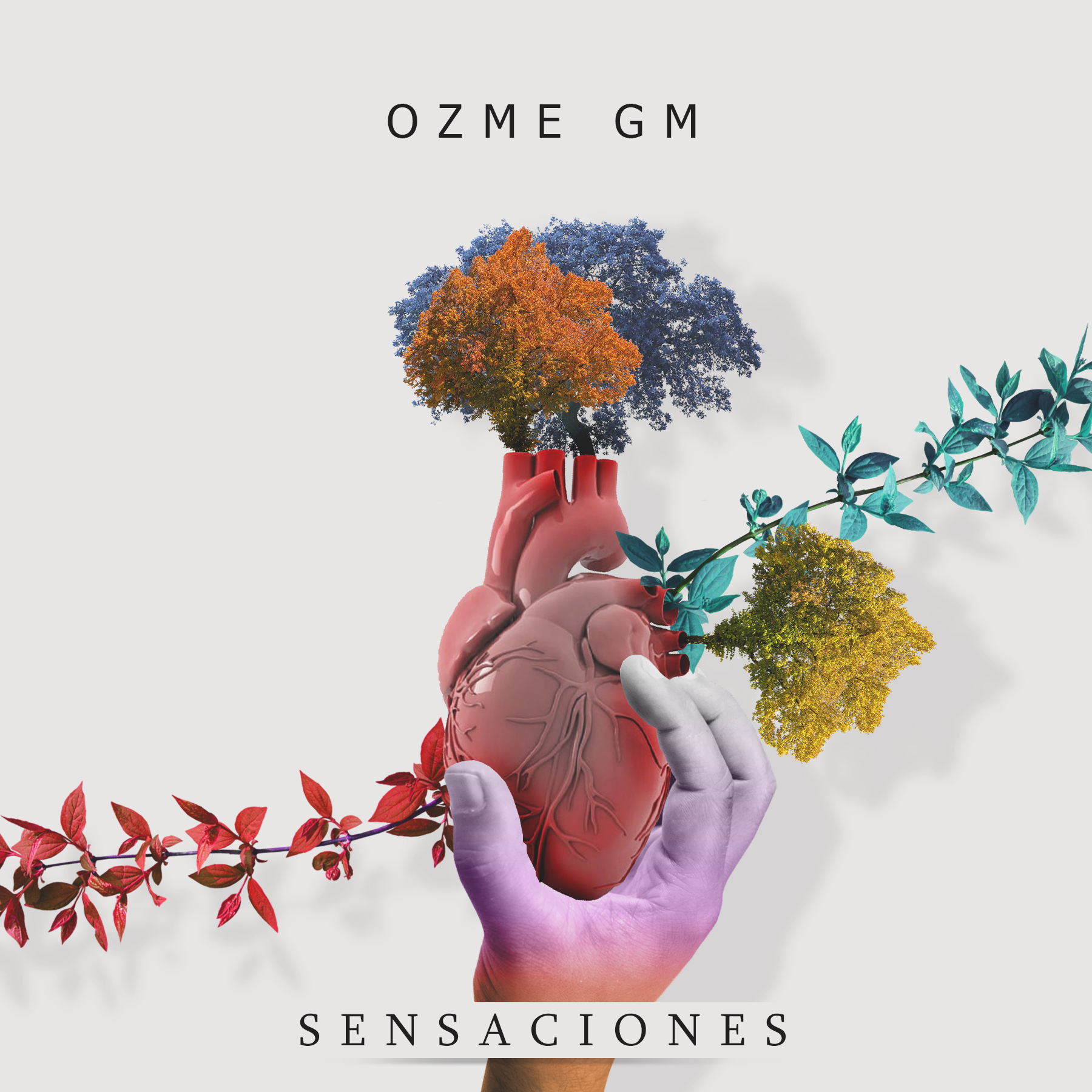 Sensaciones