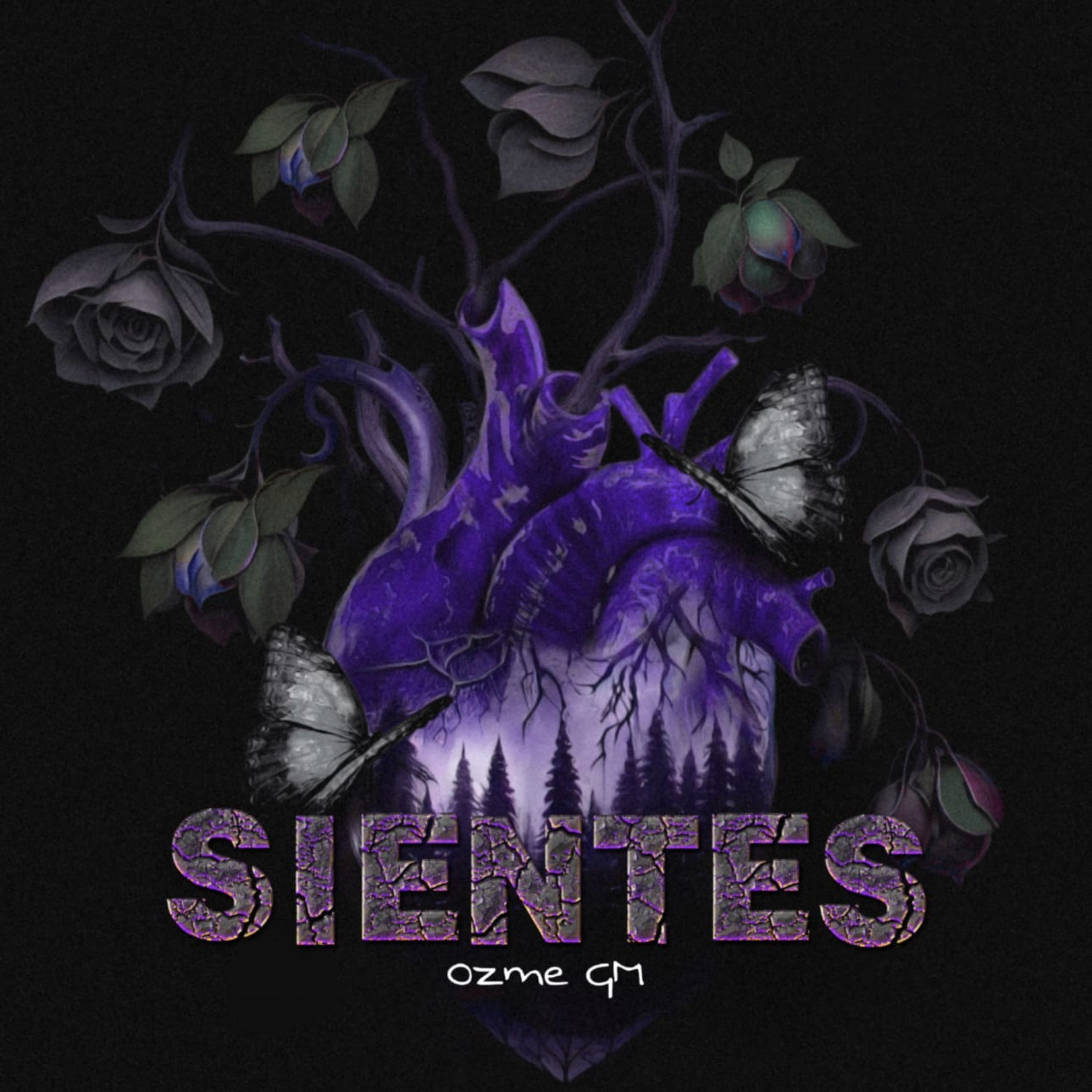 Sensaciones Vol. 2