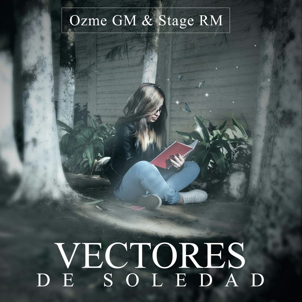 Vectores de soledad